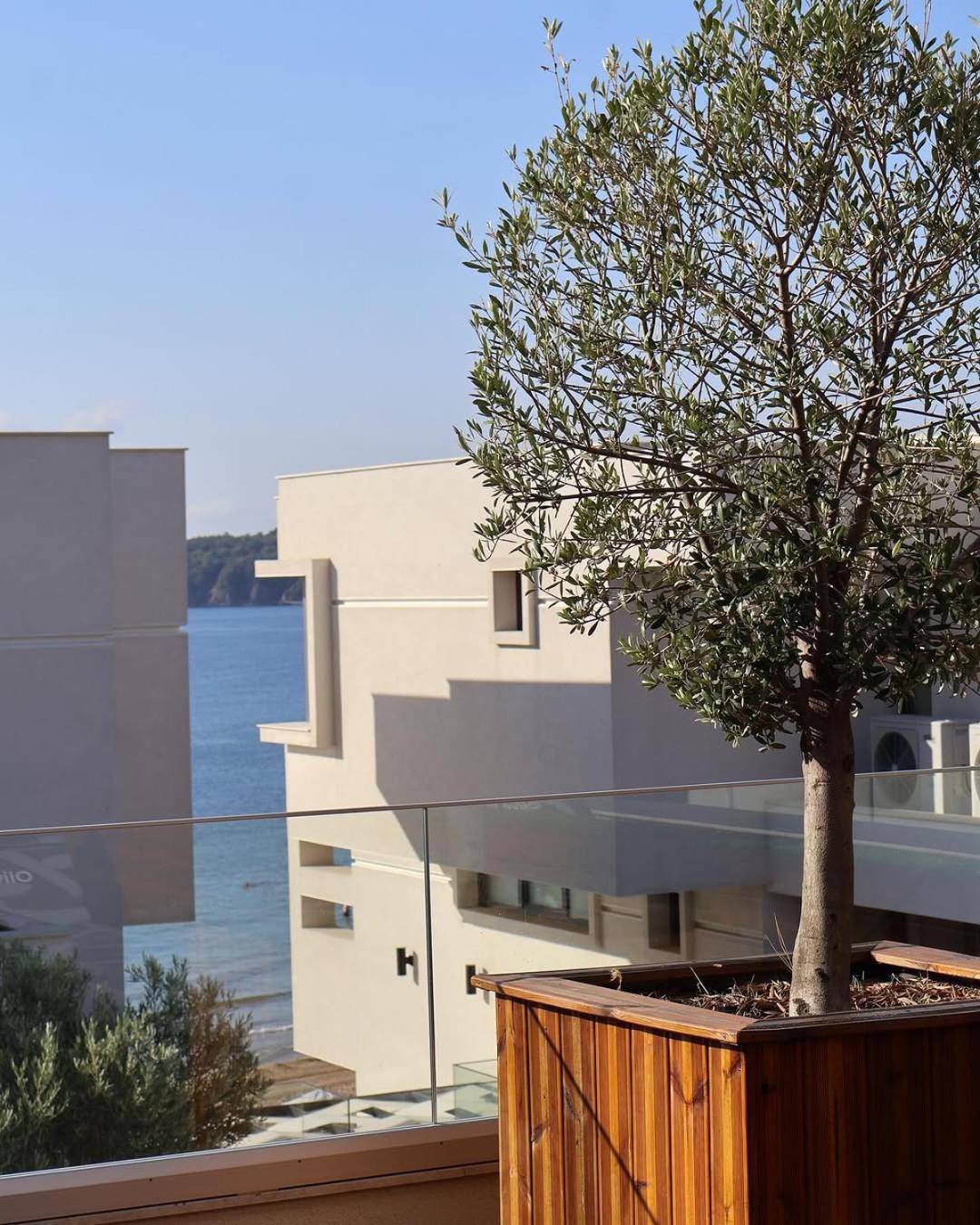 Olive Villas Beach Hotel Sozopol Eksteriør billede
